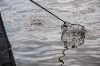 20120607_ (167)